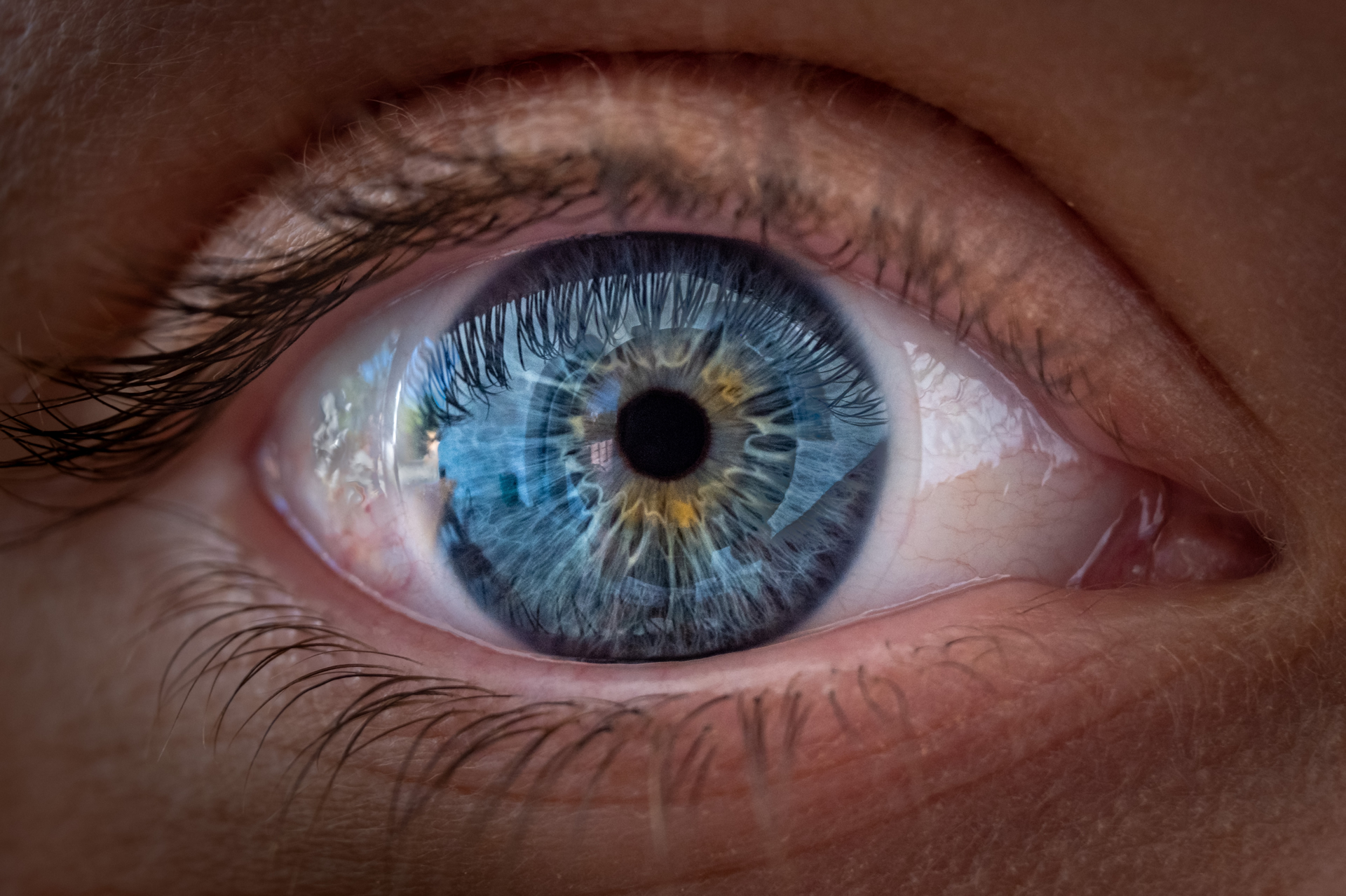 Beauty Is In the Eye of the Beholder